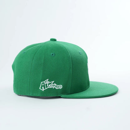 A.L.I.G.N Hats (RGB 🟥🟩🟦 Wave)