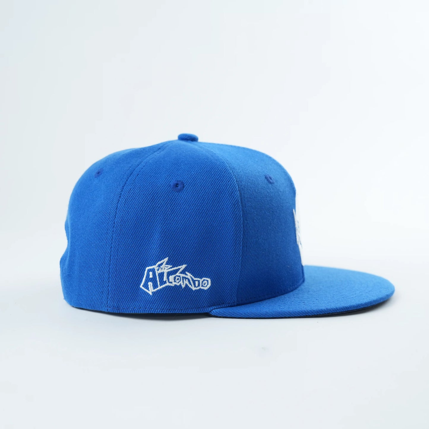 A.L.I.G.N Hats (RGB 🟥🟩🟦 Wave)